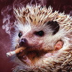 Big Stick photograph or hedghog smoking-anti litter campaign